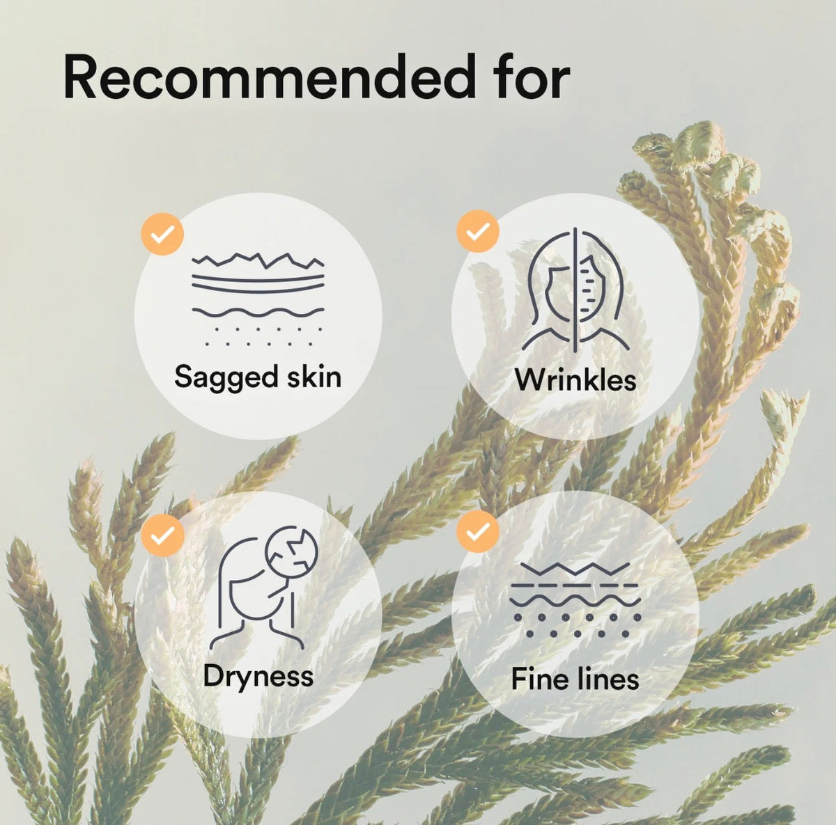 Abib - Collagen Gel Masks Abib