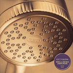 Filtered Shower Head Curo Skin