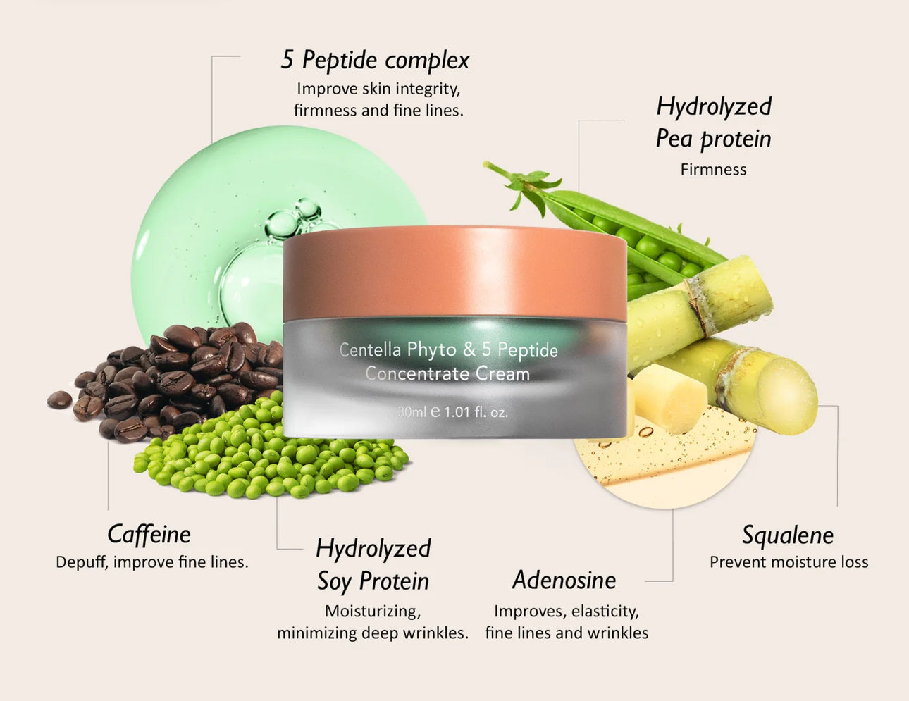 Haruharu Wonder Centella Phyto & 5 Peptide Concentrate Cream 30ml Refill Haruharu
