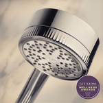 Filtered Shower Head Curo Skin
